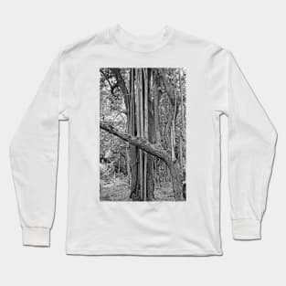 Iao Valley State Monument Study 12 Long Sleeve T-Shirt